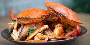 Chilli Mudcrab